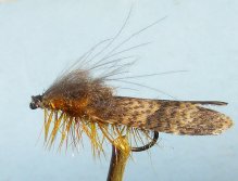 Mallard Caddis (rokafly)