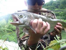 One of my rainbow trouts