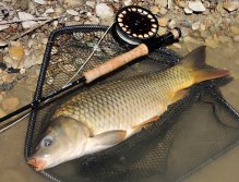 Trošku hubený, ale o to více bojovný.