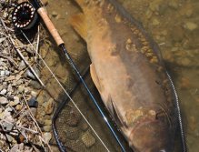 A tady je v celé své kráse!