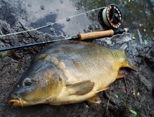 Jako např. v tomto případě!