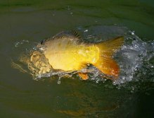 Souboj ještě není u konce...