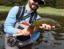 Krásný exemplář lína obecného uloveného na mušku.