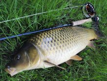 Pro mě dokonalý kapr kategorie 70+.