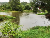 Litavka nad soutokem s Berounkou