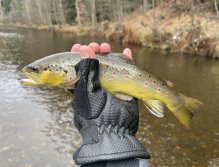 Svatava u zahrádkářské kolonie ve Svatavě