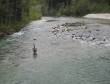 Muškař na Sava Bohinjka